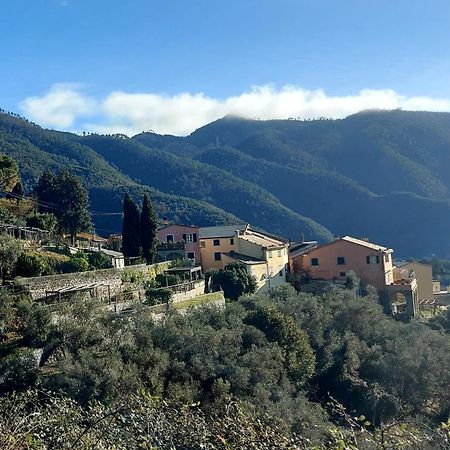 La Jeannotte Villa Levanto Ngoại thất bức ảnh